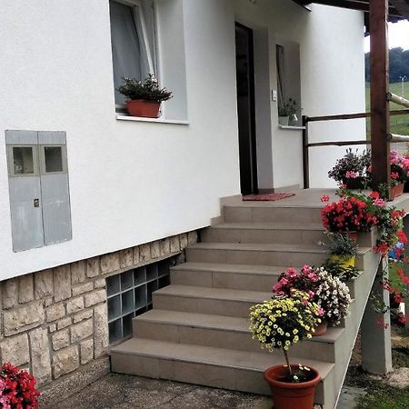 Guesthouse Bor Plitvice Lakes Plitvička Jezera Kültér fotó