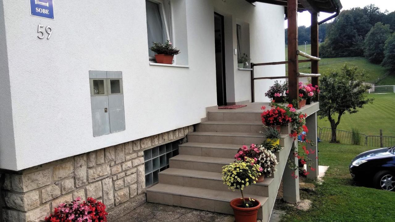 Guesthouse Bor Plitvice Lakes Plitvička Jezera Kültér fotó