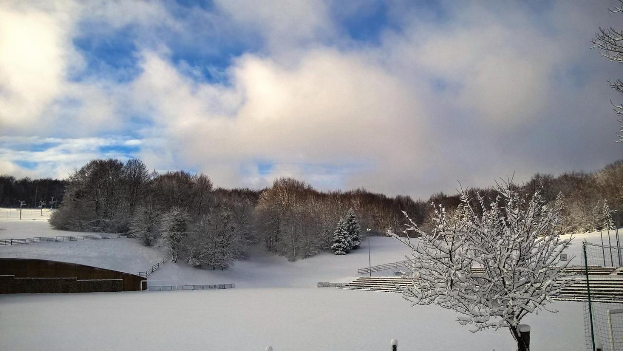 Guesthouse Bor Plitvice Lakes Plitvička Jezera Kültér fotó